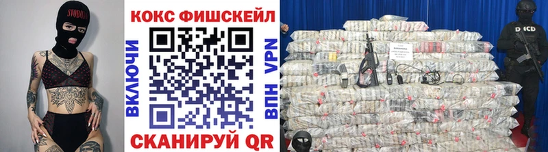 Cocaine Эквадор  мориарти формула  Елизово  цены наркотик 