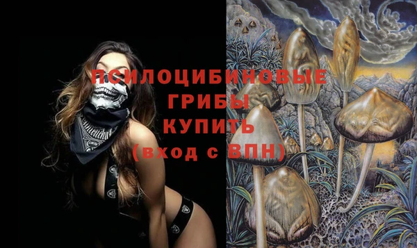 трава Покачи