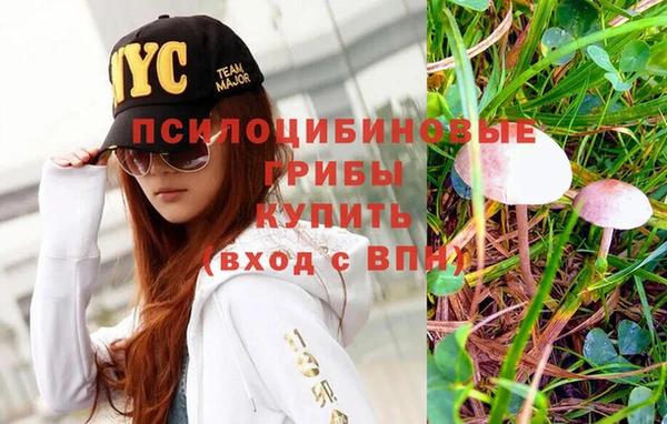гашиш Абинск