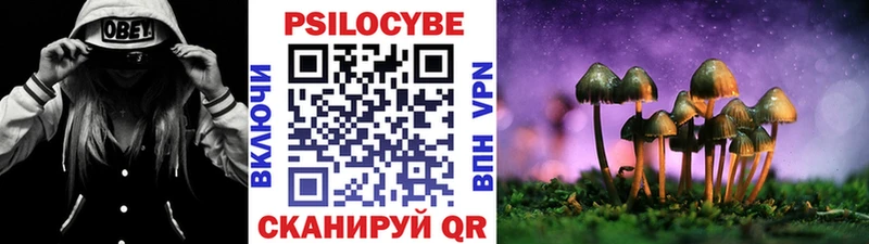 Галлюциногенные грибы Psilocybe  как найти закладки  Елизово 